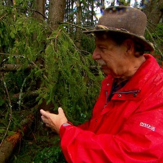 Waldbesitzer Uwe Ehmann zeigt auf einen Baum, der vom Sturm umgeknickt ist.