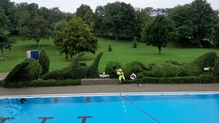 Figuren aus Freibad-Büschen