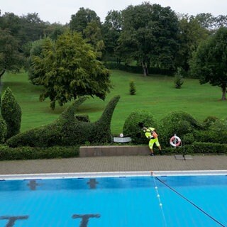 Figuren aus Freibad-Büschen