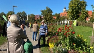 Die vielen Blüten haben auf der Balinger Gartenschau bis zum letzten Tag Menschen begeistert.