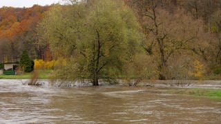 Ein Baum steht mitten im reißenden Fluss des Neckars.
