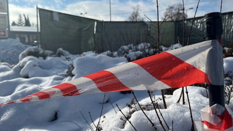 In der Rudolf-Diesel-Straße in Tuttlingen haben sich Ratten eingenistet.