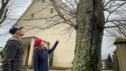 Christa Bruder und Manfred Neher möchten mit einem Bürgerbegehren verhindern, dass drei alte Bäume bei der Kirche in Hausen am Tann gefällt werden