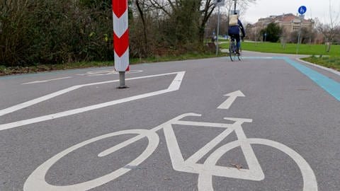 Die neue Radroute in der Allee-ähnlichen Straße "Planie" entlang der Pomologie in Reutlingen ist mit Markierungen auf der Straße schon angelegt. Hier sollen Radfahrer und Fußgänger Vorrang bekommen.