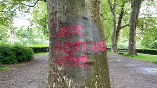 Wieder Schmierereien auf der Platanenallee in Tübingen