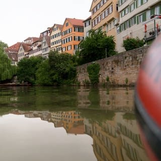 Der Neckar in Tübingen führt am Tag vor dem Stocherkahnrennen ziemlich viel Wasser.