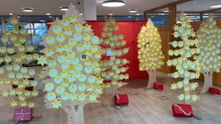 Wunsch-Bäume tragen viele Sterne mit Wünschen bei der Aktion Weihnachtssterne in Freudenstadt