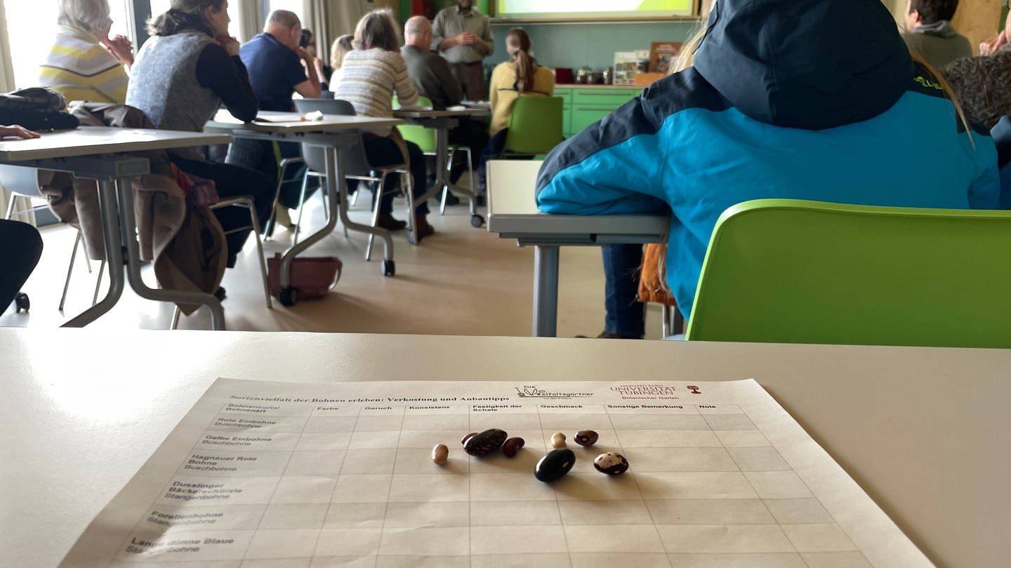 Beim Bohnenkurs im Botanischen Garten in Tübingen wurden verschiedenen Bohnensorten vorgestellt. Die Kursleiterin plädierte dafür, mehr Bohnen zu essen und dafür mal das Fleisch wegzulassen.