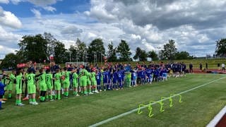 Kinder aus Freudenstadt klatschen mit den Dänen nach dem ersten Training ab. Die Nationalmannschaft kam am Dienstag im Schwarzwald an. Dort bezieht das Team sein Quartier für die EM.