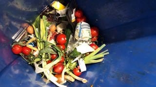 Lebensmittelabfälle in einer Mülltonne.