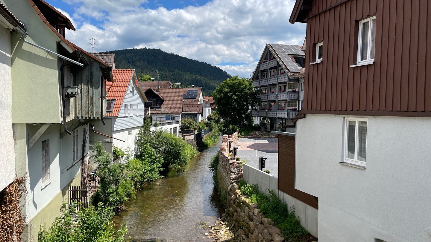 Die Bürgermeisterwahl in Alpirsbach (Kreis Freudenstadt) ist für ungültig erklärt worden. Der neu gewählte Bürgermeister soll die Wählerinnen und Wähler getäuscht haben, indem er seine Suspendierung bei der Polizei abgestritten hat.