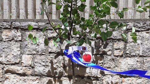 Ein Apfelbäumchen vor einer Natursteinmauer. Blau-Weiß wehen die Bänder im Wind. Ein Bild am Baum zeigt, welche Früchte er eines Tages tragen soll. 