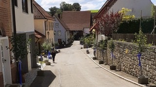 Rechts und links eines Sträßchens in Münsingen-Apfelstetten stehen mit blauen und weißen Bändern geschmückte Apfelbäumchen zum Jubiläum des Ortes.