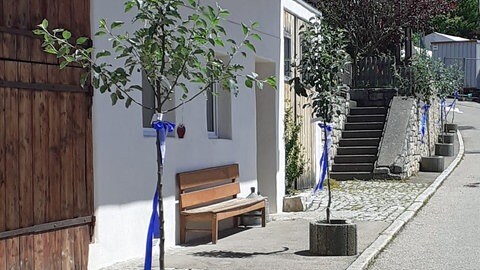 Mehrere Apfelbäumchen stehen in Töpfen entlang einer dörflichen Straße in Apfelstetten auf der Schwäbischen Alb. Sie sind mit Bändern geschnückt. 