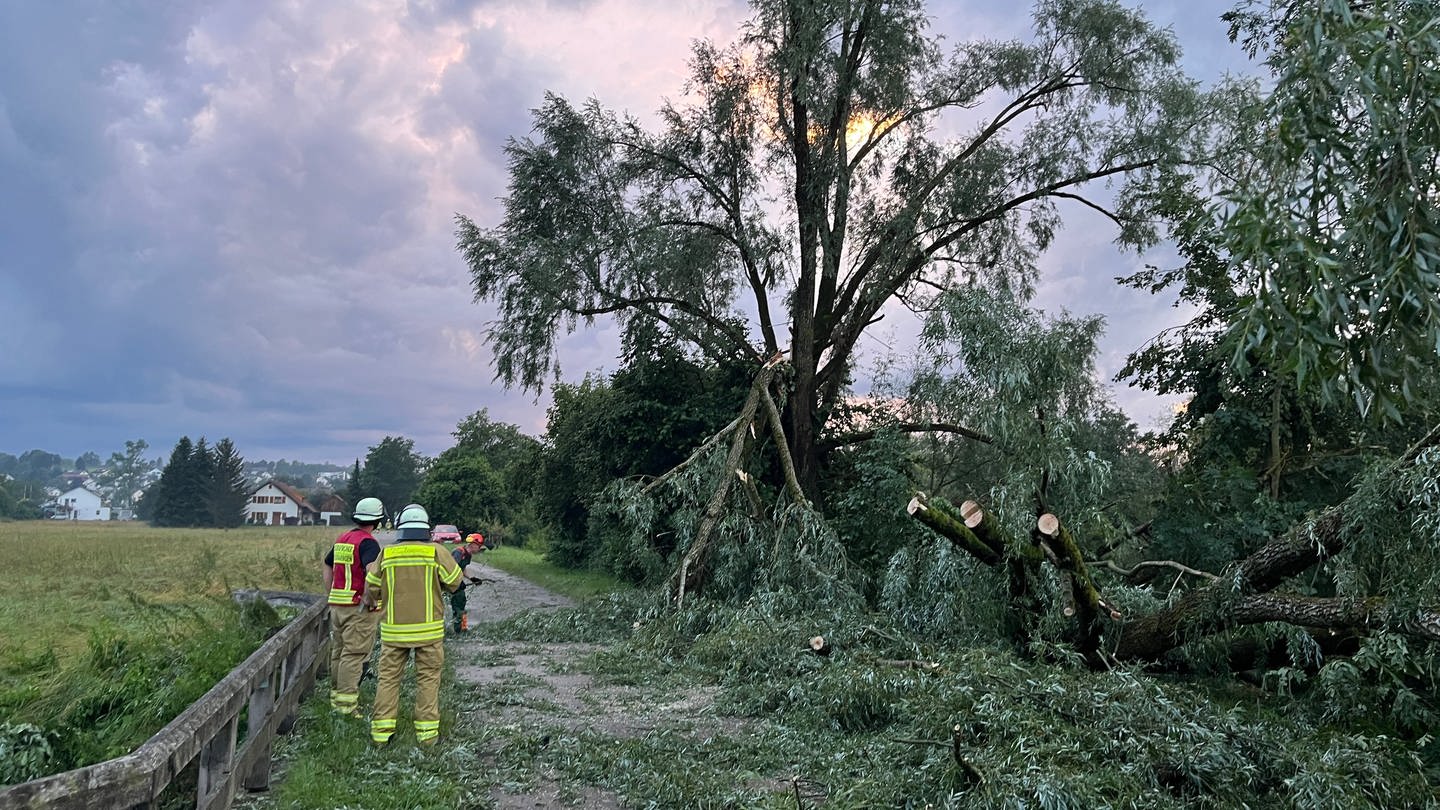 Bis in die Nacht hinein haben Feuerwehreinsatzkräfte nach dem Unwetter im Kreis Sigmaringen umgestürzte Bäume von Straßen und Wegen geräumt.