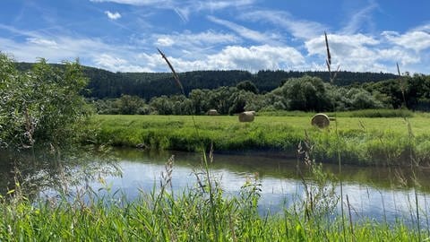 Die Donau als Flüsschen zwischen Wiesen und Feldern. 