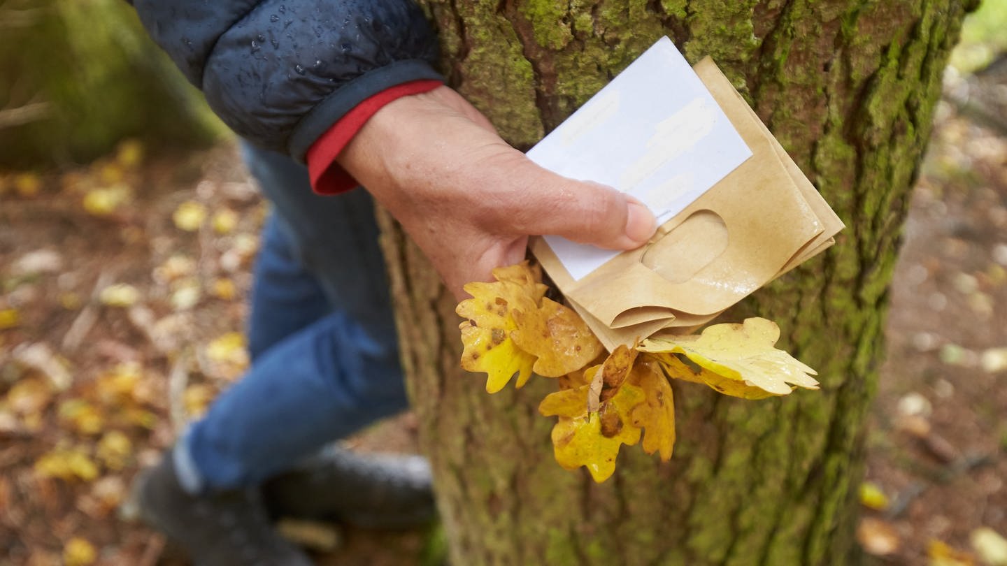 Es sind sensible Arztbriefe von Patienten der Uniklinik Tübingen, die eine Frau in einem Wald zwischen Metzingen und Eningen unter Achalm gefunden hat. (Symbolbild)