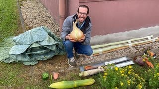 Rolf Böhland aus Emmingen-Liptingen präsentiert sein Riesengemüse. Mit der Zwiebel hat er einen Rekord geknackt.