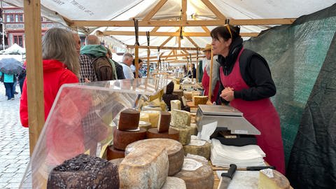 Beim umbrisch-provenzalischen Markt in Tübingen gibt es viele Stände mit unterschiedlichen Käsesorten. Eine Verkäuferin berät gerade einen Kunden. Auf dem Tischen stehen viele verschiedene Käselaibe: braune, grüne und weiße. Sie verströmen einen würzigen Duft, der sich mit den Gerüchen anderer Spezialitäten vermischt.