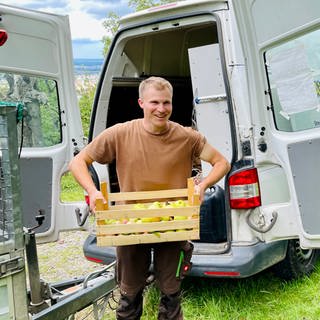 Helfer schleppen Kisten und Eimer voll mit Äpfeln zu einem Transporter.