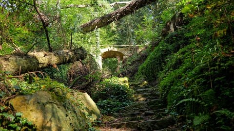 Die wildromantische Wolfsschlucht bei Bad Niedernau.