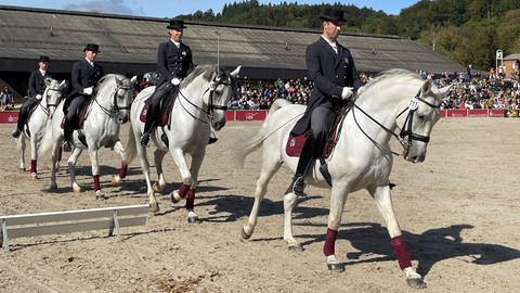 Vier edle weiße Pferde traben mit leicht gesenkten Köpfen durch die Arena in Marbach. In den bordeauxroten Sätteln sitzen Frauen und Männer in Schwarz mit eleganten Hüten. 