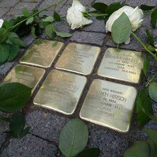 14 neue Stolpersteine werden in der Tübinger Innenstadt am Montag gegen das Vergessen der NS-Opfer verlegt. Eine Initiative hat Gunter Demnig wieder dafür eingeladen.