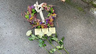 Drei neu verlegte Stolpersteine in Tübingen auf einer Straße. 