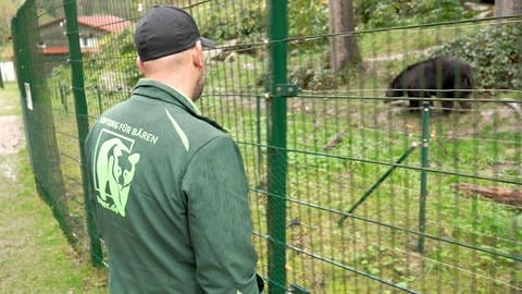 Ein Mitarbeiter des Alternativen Wolf- und Bärenpark im Schwarzwald steht vor einem Zaun und beobachtet dahinter einen Bär. Problembärin Gaia wird im Frühjahr hier einen Platz finden.