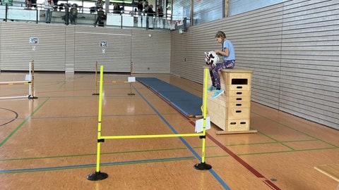 Ein Mädchen sitzt auf einem Sprungkasten und flechtet ihrem Hobby Horse die Haare.