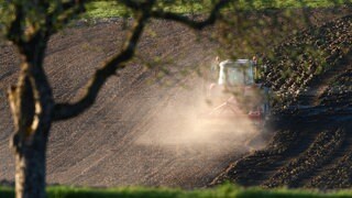 Klimawandel bringt mehr giftige Metalle ins Essen