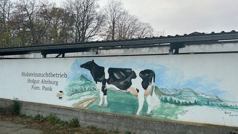 Auf dem Kuhstall beim Hofgut Alteburg in Reutlingen ist eine schwarz-weiße Milchkuh aufgemalt.