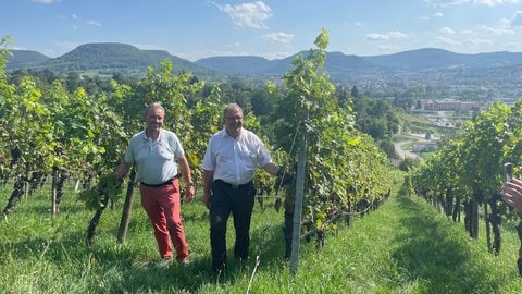 OB Keck und "Wein-Papst" Gert Aldinger auf dem Weinberg in Reutlingen