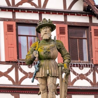 Ohne rechte Hand und Zepter: Die Statue von Maximilian II. auf dem Marktplatz in Reutlingen wurde beschädigt. Das bedeutet hohe Kosten für die Stadt.