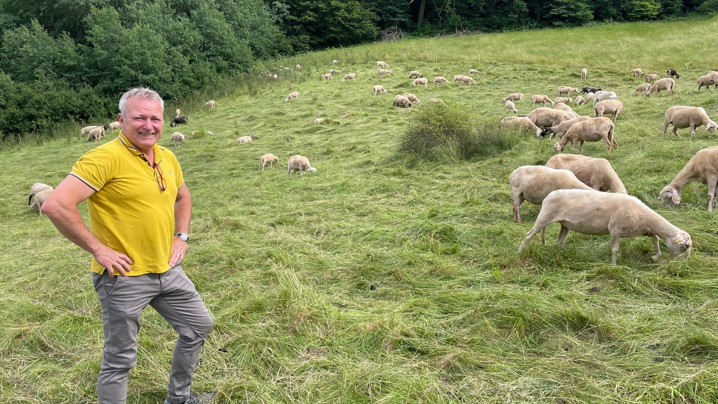 Schäfer Andreas Quint bekommt seine Merinowolle nicht los. Händler aus Australien oder Neuseeland sind eine große Konkurrenz.