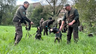 Jäger aus dem Kreis Tübingen präsentieren ihre Hunde bei der Feier zum Jubiläum 100 Jahre Kreisjägervereinigung Tübingen vor dem Kloster Bebenhausen.