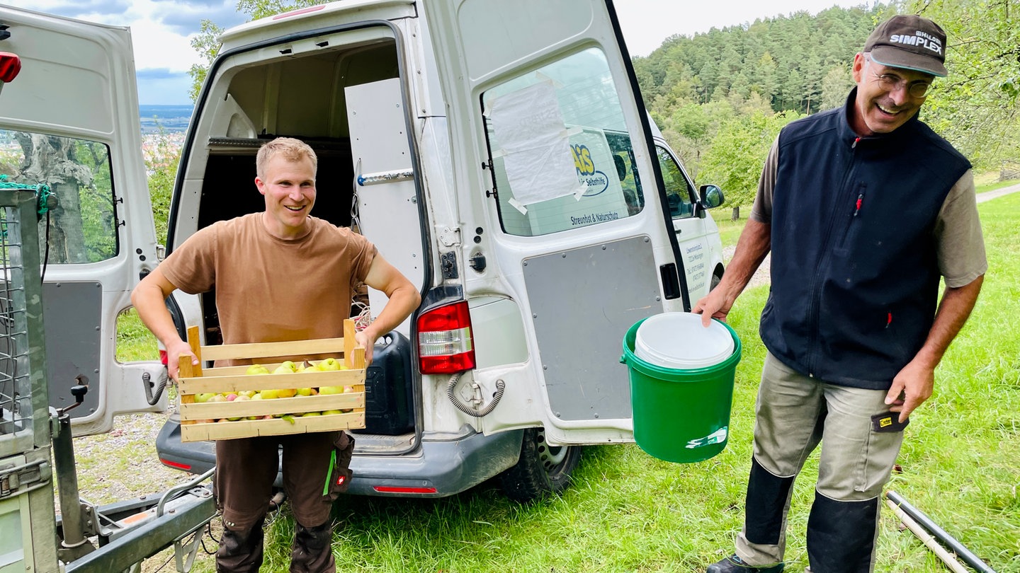 Helfer schleppen Kisten und Eimer voll mit Äpfeln zu einem Transporter.