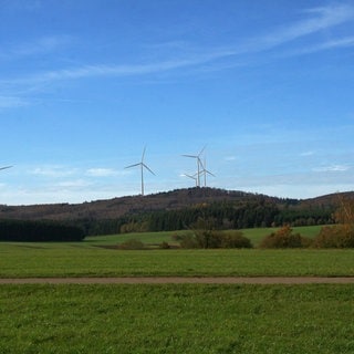 Die Visualisierung zeigt, wie der Windpark Hohfleck einmal aussehen soll