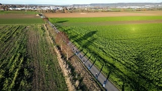 Ein kleiner Feldweg von oben betrachtet, auf dem sich viele Schülerinnen und Schüler zu einer Menschenkette aneindander gereiht haben - die Aktion macht auf die jüdischen Häftlinge aufmerksam, die dort vor 80 Jahren zum KZ Hailfingen-Tailfingen befördert wurden. 