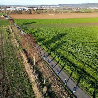 Ein kleiner Feldweg von oben betrachtet, auf dem sich viele Schülerinnen und Schüler zu einer Menschenkette aneindander gereiht haben - die Aktion macht auf die jüdischen Häftlinge aufmerksam, die dort vor 80 Jahren zum KZ Hailfingen-Tailfingen befördert wurden. 