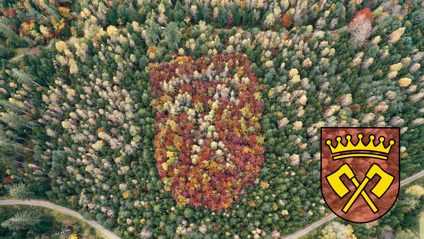 Bildmontage des Waldwappen aus der Luft und einer Grafik des Gemeindewappens von Pfalzgrafenweiler. Durch die Herbstfärbung der Bäume kann man es erkennen.