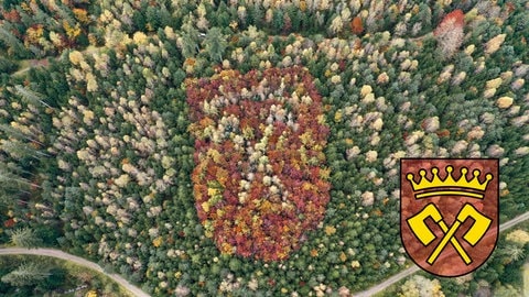 Bildmontage des Waldwappen aus der Luft und einer Grafik des Gemeindewappens von Pfalzgrafenweiler. Durch die Herbstfärbung der Bäume kann man es erkennen.