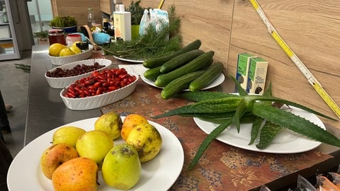 In der Obstwerkstatt in Mössingen lernen zwölf Frauen, wie sie aus Obst, Gemüse,Tannennadeln und Hagebutten Naturkosmetik herstellen können. 