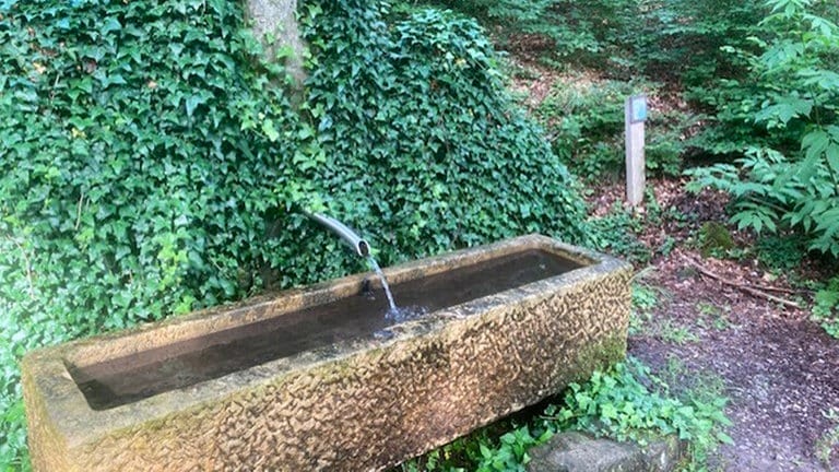 Wasser fließt aus Brunnen im Schönbuch.