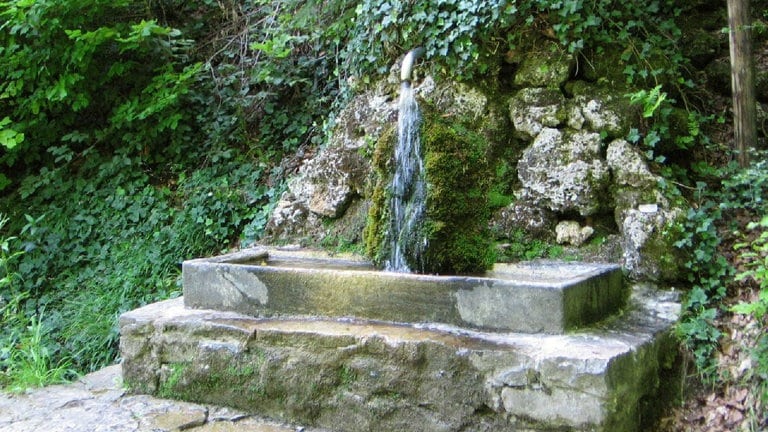 Ein Brunnen im Schönbuch, aus dem Wasser sprudelt.