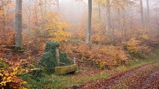 Der Hermann-Löns-Brunnen bei Ammerbuch inmitten des herbstlichen Walds im Schönbuch.