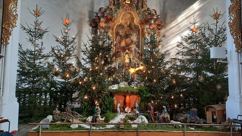 Die Krippe umgeben von geschmückten Tannenbäumen in der Wallfahrtskirche Palmbühl im Zollernalbkreis. In diesem Jahr wird sie nicht aufgebaut.