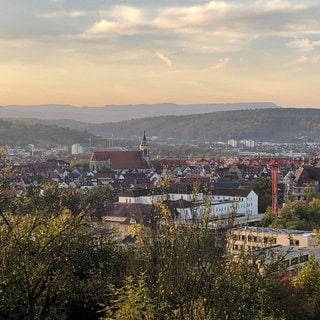 Blick auf Tübingen: Die Stadt muss Kosten sparen und hat Ideen für Kürzungen.