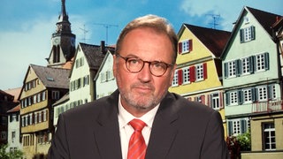 Landrat Joachim Walter (CDU) vor Tübinger Kulisse: Er möchte vorzeitig in den Ruhestand versetzt werden. 