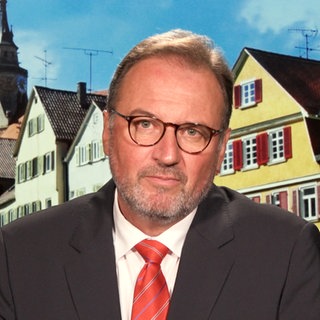 Landrat Joachim Walter (CDU) vor Tübinger Kulisse: Er möchte vorzeitig in den Ruhestand versetzt werden. 